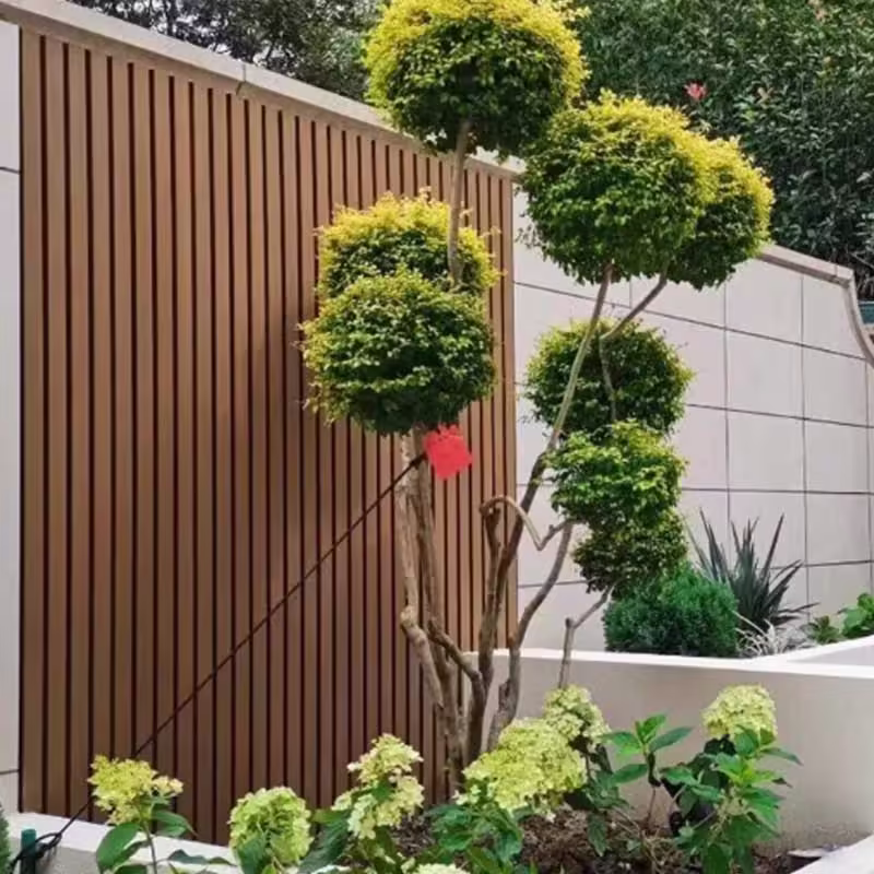 Wall Panels